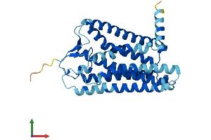 AlphaFold protein structure predicition of Human Recombinant OR4D1 Protein, UniprotID Q15615