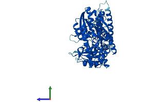 AlphaFold protein structure predicition of Human Recombinant CDC45 Protein, UniprotID O75419