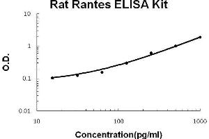 大鼠Rantes PicoKine ELISA试剂盒标准曲线（CCL5 ELISA试剂箱）