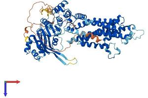 ABCG1 Protein (AA 1-678) (His tag)