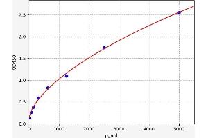 Huntingtin ELISA Kit