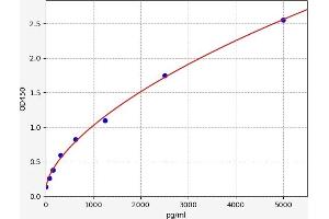 Typical standard curve (Huntingtin ELISA Kit)