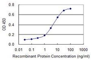 Detection limit for recombinant GST tagged MYH9 is 0. (Myosin 9 antibody  (AA 131-220))