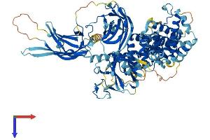 AlphaFold protein structure predicition of Human Recombinant RASA3 Protein, UniprotID Q14644 (RASA3 Protein (AA 1-834) (His tag))