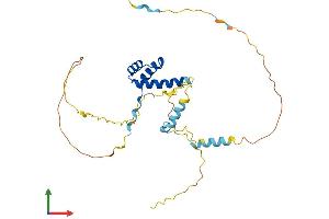 Protein Structure (PS) image for BARX Homeobox 2 (BARX2) (AA 1-279) protein (His tag) (ABIN7552526)