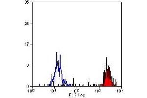 Staining of human peripheral blood monocytes probed with Mouse anti Human CD14 - RPE (CD14 antibody  (PE))