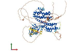 AlphaFold protein structure predicition of Human Recombinant RFX2 Protein, UniprotID P48378 (RFX2 Protein (AA 1-723) (His tag))