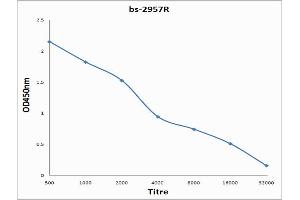 Antigen: 0. (SCNN1A antibody  (AA 201-300))