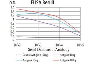 Fig. (EIF5 antibody  (AA 1-300))