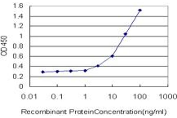 ATP6V1B2 antibody  (AA 1-511)