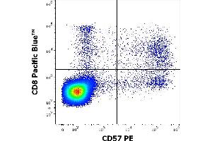 Flow cytometry multicolor surface staining of human lymphocytes stained using anti-human CD57 (TB01) PE antibody (10 μL reagent / 100 μL of peripheral whole blood) and anti-human CD8 (MEM-31) Pacific Blue antibody (4 μL reagent / 100 μL of peripheral whole blood). (CD57 antibody  (PE))