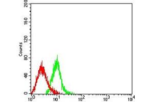 Flow cytometric analysis of HL-60 cells using CD208 mouse mAb (green) and negative control (red). (LAMP3 antibody  (AA 218-381))