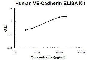 Human VE-Cadherin/CD144 PicoKine ELISA Kit standard curve (Cadherin 5 ELISA Kit)