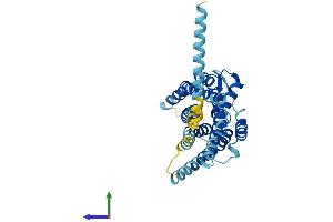 AlphaFold protein structure predicition of Human Recombinant SUCNR1 Protein, UniprotID Q9BXA5