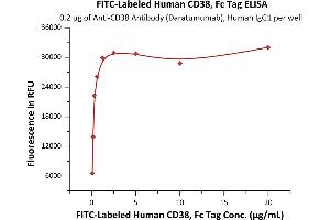 Immobilized A Antibody (Daratumumab), Human IgG1 at 2 μg/mL (100 μL/well) can bind Fed Human CD38, Fc Tag (ABIN6972987) with a linear range of 0.