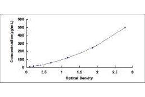 Typical standard curve (TGFB3 ELISA Kit)