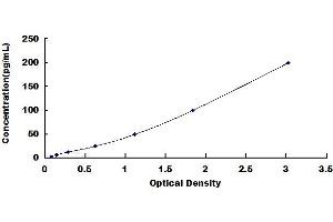 Typical standard curve (TNF alpha ELISA Kit)