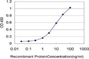 Detection limit for recombinant GST tagged GPS2 is approximately 0. (GPS2 antibody  (AA 228-327))