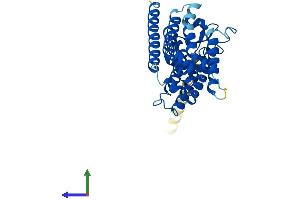 AlphaFold protein structure predicition of Mouse Recombinant Paqr7 Protein, UniprotID Q80ZE4