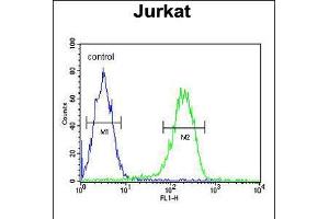 Flow cytometric analysis of Jurkat cells (right histogram) compared to a negative control cell (left histogram). (PAN3 antibody  (C-Term))