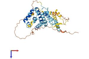 Cyclin Y-Like 2 (CCNYL2) (AA 1-361) protein (His tag)
