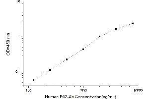 Typical standard curve (Anti-P62 Antibody ELISA Kit)