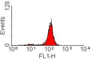 ABIN119468 staining of rat peritoneal macrophages (SIRPA antibody  (FITC))