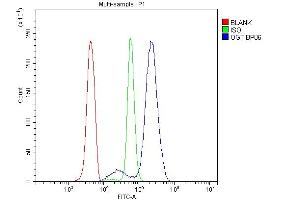 Flow Cytometry analysis of U937 cells using anti-OGT antibody (ABIN3043893). (OGT antibody  (C-Term))