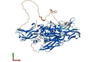 AlphaFold protein structure predicition of Mouse Recombinant Tgm1 Protein, UniprotID Q9JLF6