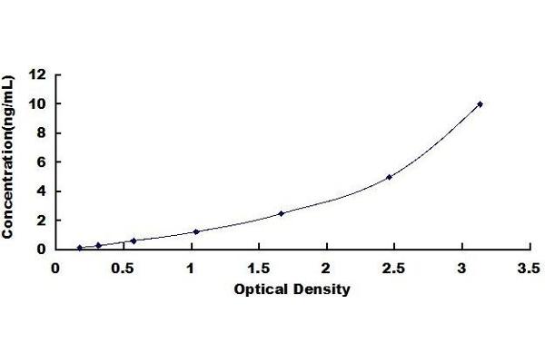 XCL2 ELISA Kit