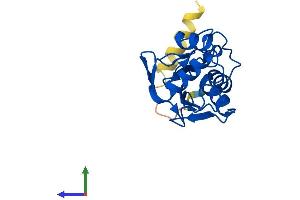Protein Structure (PS) image for Ubiquitin-Conjugating Enzyme E2M (ube2m) (AA 1-183) protein (His tag) (ABIN7544985)
