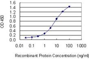 Detection limit for recombinant GST tagged E2F3 is 0. (E2F3 antibody  (AA 336-425))