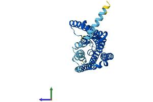 AlphaFold protein structure predicition of Human Recombinant OR4E2 Protein, UniprotID Q8NGC2 (OR4E2 Protein (AA 1-313) (His tag))