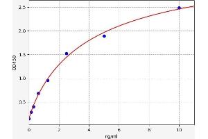 CSTB ELISA Kit