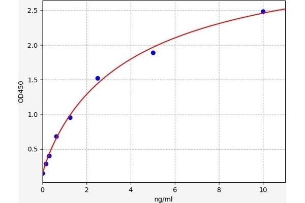 CSTB ELISA Kit