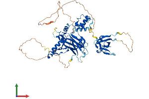 AlphaFold protein structure predicition of Human Recombinant UBP1 Protein, UniprotID Q9NZI7 (UBP1 Protein (AA 1-540) (His tag))
