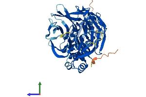 AlphaFold protein structure predicition of Human Recombinant KBTBD13 Protein, UniprotID C9JR72 (KBTBD13 Protein (AA 1-458) (His tag))