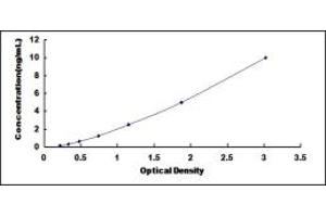 Typical standard curve (TINF2 ELISA Kit)