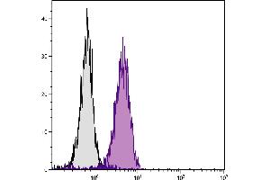 Human T cell leukemia cell line Jurkat was intracellularly stained with Mouse Anti-Human CD107b-SPRD. (LAMP2 antibody  (SPRD))