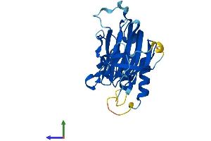 Protein Structure (PS) image for 2-Aminoethanethiol (Cysteamine) Dioxygenase (ADO) (AA 1-256) protein (His tag) (ABIN7558054)