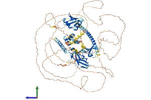 AlphaFold protein structure predicition of Human Recombinant NBR1 Protein, UniprotID Q14596 (NBR1 Protein (AA 1-966) (His tag))