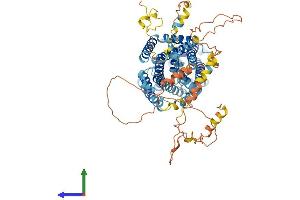 AlphaFold protein structure predicition of Mouse Recombinant Slc12a8 Protein, UniprotID Q8VI23