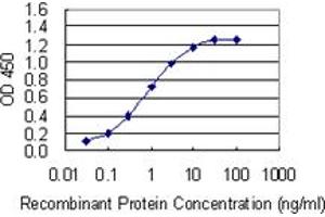 Detection limit for recombinant GST tagged CRTC3 is 0. (CRTC3 antibody  (AA 176-274))