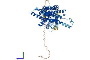 AlphaFold protein structure predicition of Human Recombinant ARIH2 Protein, UniprotID O95376