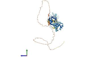 AlphaFold protein structure predicition of Human Recombinant PPIL4 Protein, UniprotID Q8WUA2 (PPIL4 Protein (AA 1-492) (His tag))