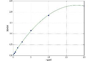Bruton Agammaglobulinemia tyrosine Kinase (BTK) ELISA Kit