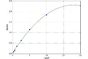 A typical standard curve (BTK ELISA Kit)