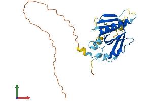 AlphaFold protein structure predicition of Human Recombinant TPRG1L Protein, UniprotID Q5T0D9 (TPRG1L Protein (AA 1-272) (His tag))