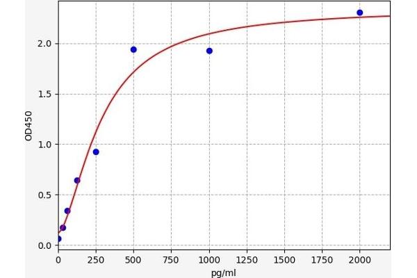 Dihydrofolate Reductase ELISA Kit