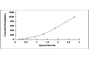 Typical standard curve (FGF2 ELISA Kit)